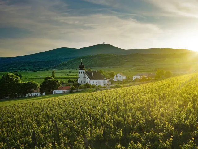 Freigut Thallern ÖWM / WSNA